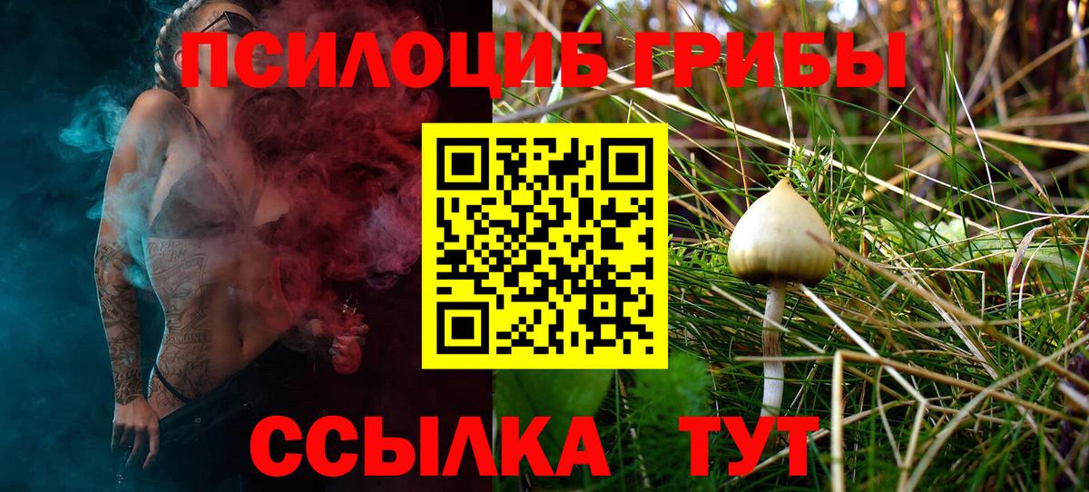 Псилоцибиновые грибы Psilocybe  Богданович  Псилоцибиновые грибы Psilocybe 