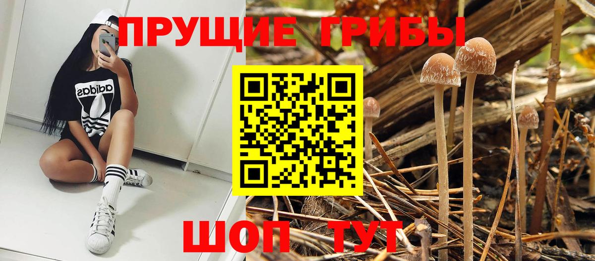 Галлюциногенные грибы MAGIC MUSHROOMS Богданович