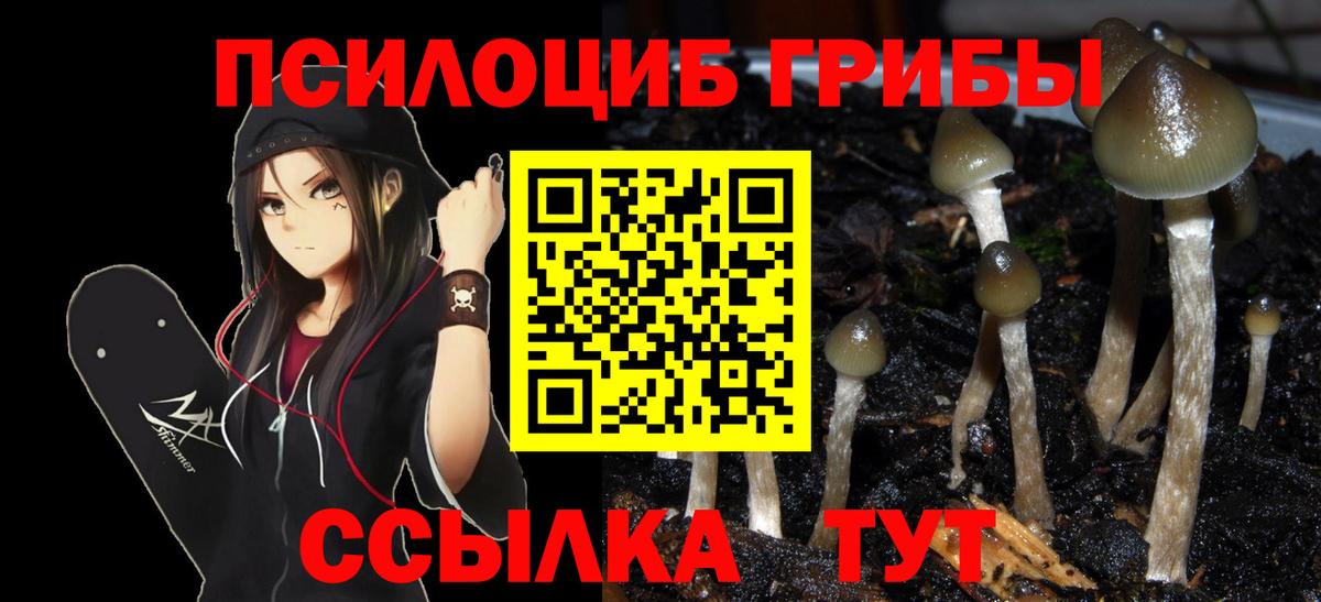 Псилоцибиновые грибы ЛСД Богданович