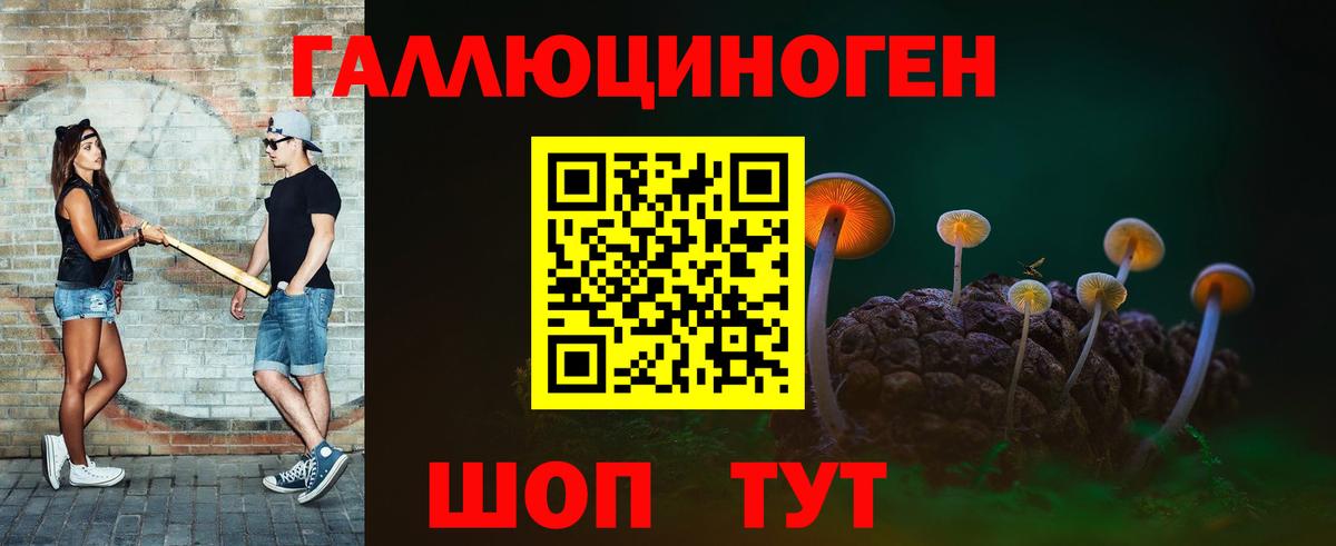 где купить наркотик  Псилоцибиновые грибы Magic Shrooms  Вход с VPN  Богданович 