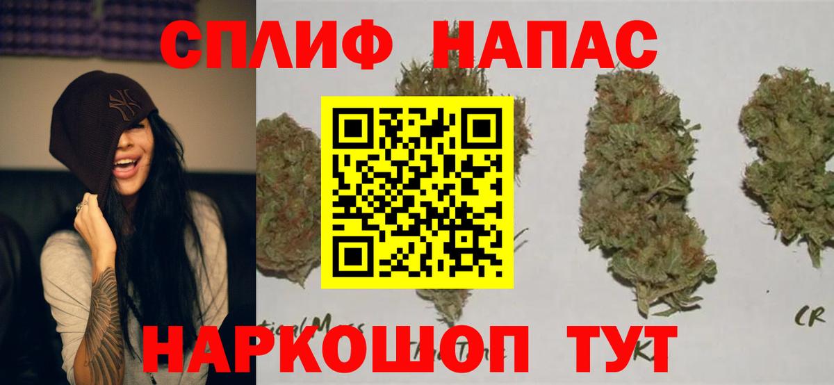 Богданович  Марихуана планчик  Конопля гибрид  Вход с VPN 